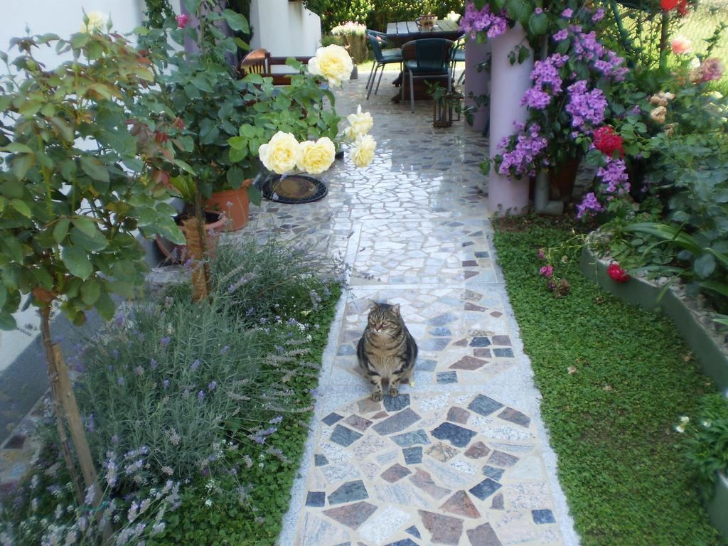 Apartment Nada Bibinje